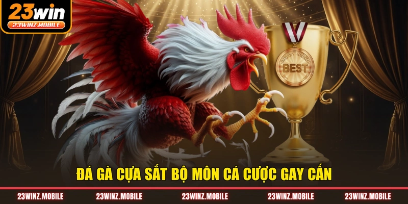 Đá gà cựa sắt bộ môn cá cược gay cấn